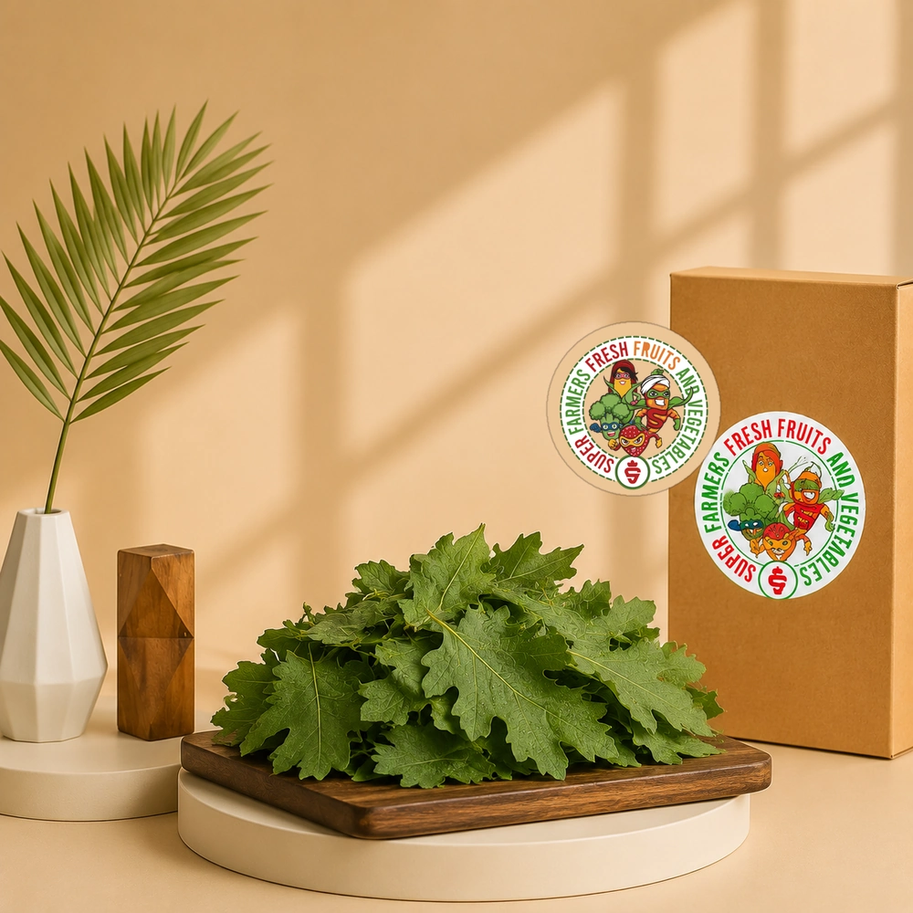oak-leaves خس أوراق البلوط - الصورة 1