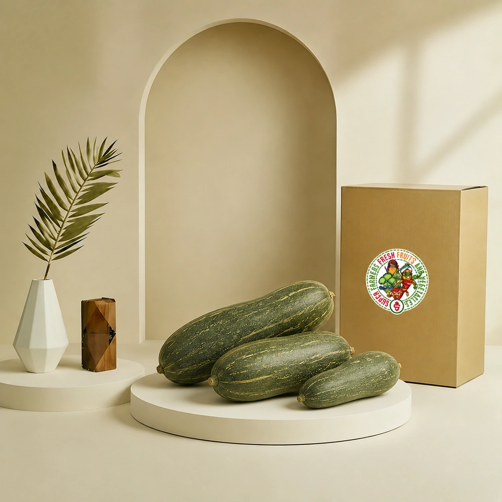 pumpkin-green-big-long قرع أخضر طويل كبير - Image 1